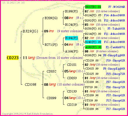 Pedigree of CD223 :
four generations presented