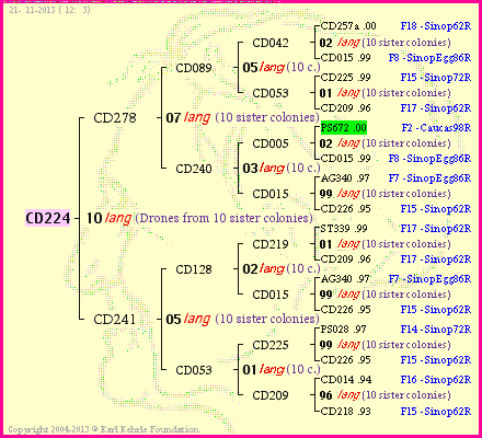 Pedigree of CD224 :
four generations presented
it's temporarily unavailable, sorry!