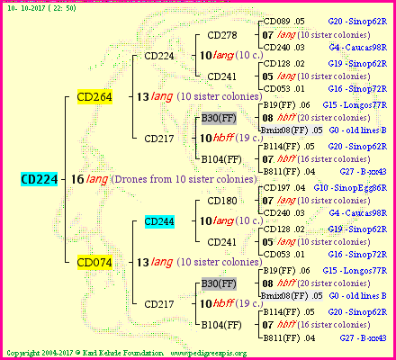 Pedigree of CD224 :
four generations presented