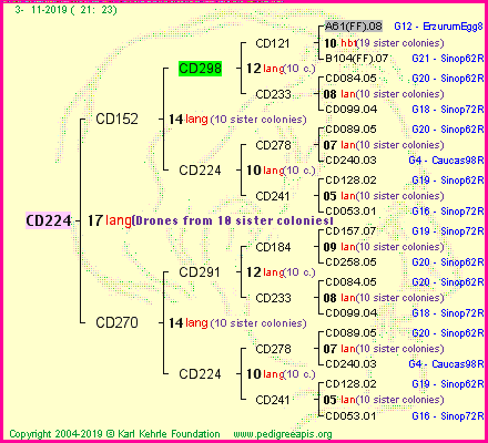 Pedigree of CD224 :
four generations presented<br />it's temporarily unavailable, sorry!