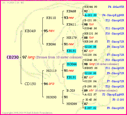 Pedigree of CD230 :
four generations presented