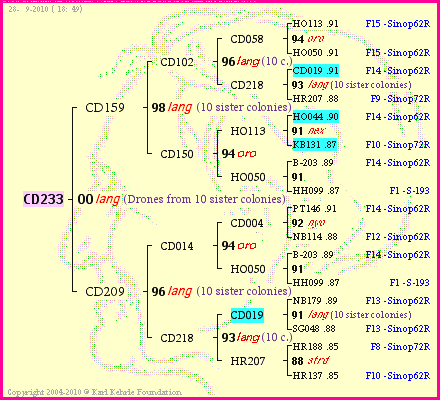 Pedigree of CD233 :
four generations presented