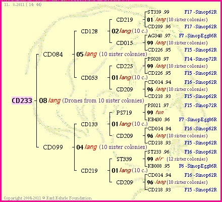 Pedigree of CD233 :
four generations presented
it's temporarily unavailable, sorry!