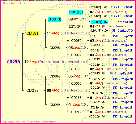 Pedigree of CD236 :
four generations presented