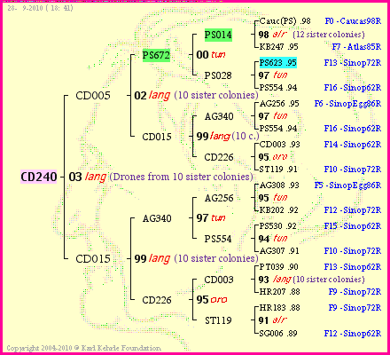 Pedigree of CD240 :
four generations presented
it's temporarily unavailable, sorry!