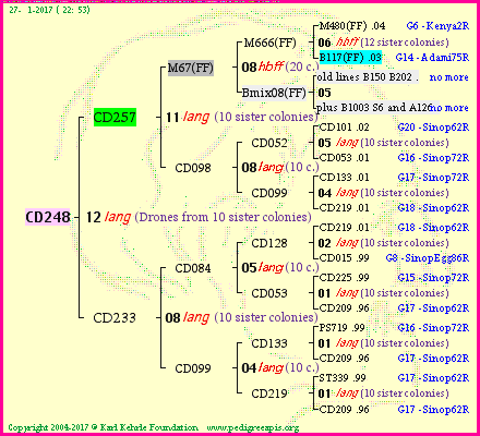 Pedigree of CD248 :
four generations presented