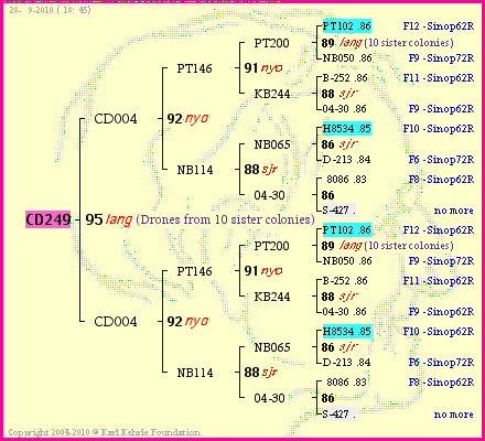 Pedigree of CD249 :
four generations presented