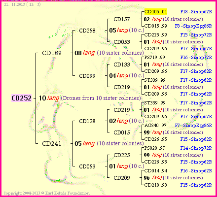 Pedigree of CD252 :
four generations presented