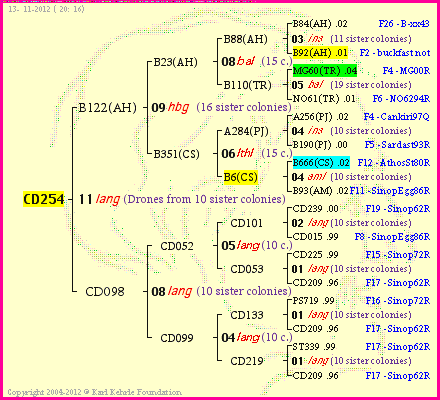 Pedigree of CD254 :
four generations presented