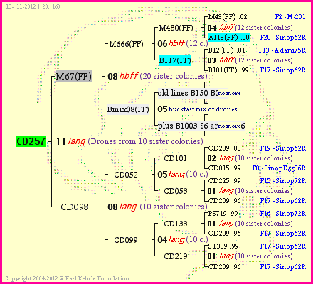 Pedigree of CD257 :
four generations presented