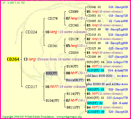 Pedigree of CD264 :
four generations presented