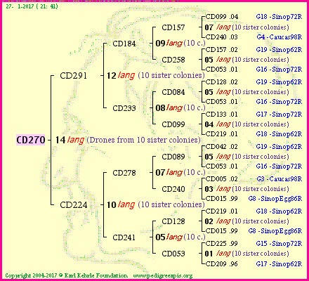 Pedigree of CD270 :
four generations presented
it's temporarily unavailable, sorry!