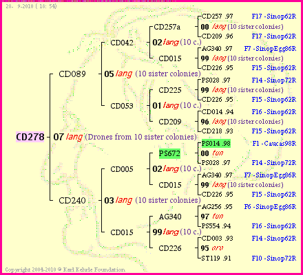 Pedigree of CD278 :
four generations presented