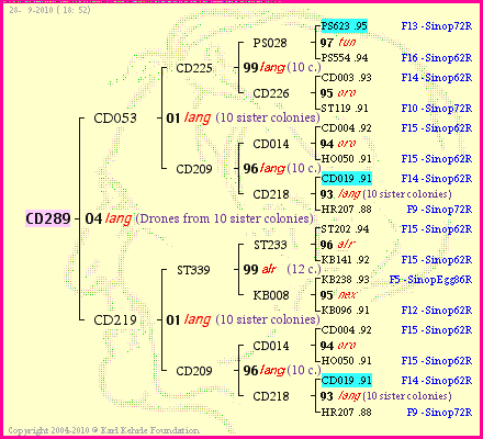 Pedigree of CD289 :
four generations presented