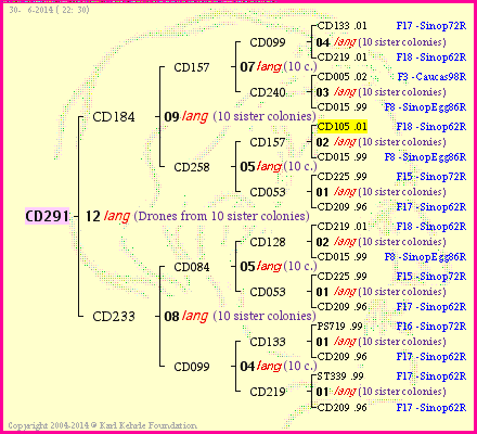 Pedigree of CD291 :
four generations presented