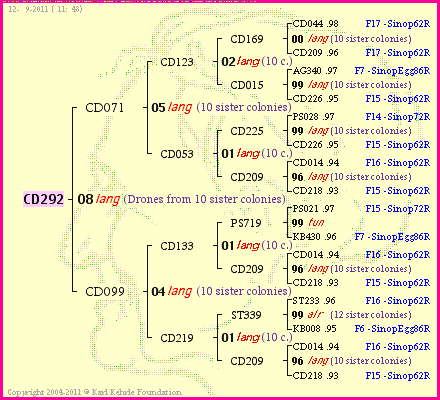 Pedigree of CD292 :
four generations presented