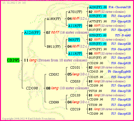 Pedigree of CD295 :
four generations presented