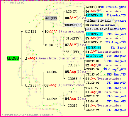 Pedigree of CD298 :
four generations presented