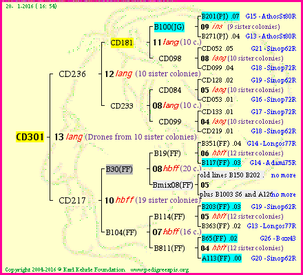 Pedigree of CD301 :
four generations presented