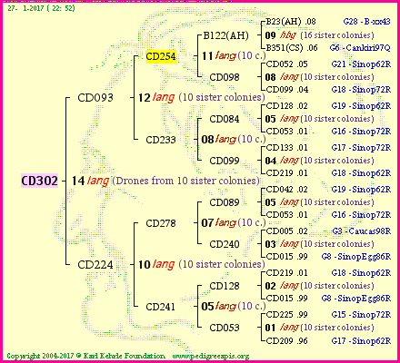 Pedigree of CD302 :
four generations presented<br />it's temporarily unavailable, sorry!