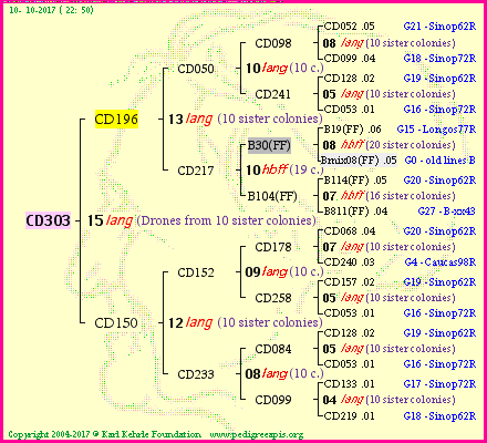 Pedigree of CD303 :
four generations presented
it's temporarily unavailable, sorry!