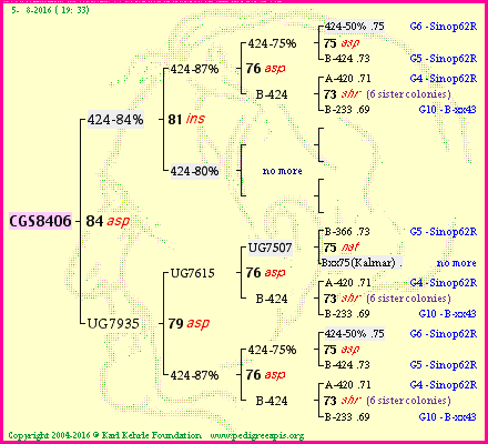 Pedigree of CGS8406 :
four generations presented