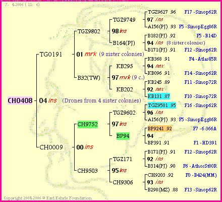 Pedigree of CH0408 :
four generations presented