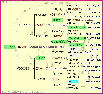 Pedigree of CH0777 :
four generations presented