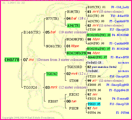 Pedigree of CH0778 :
four generations presented