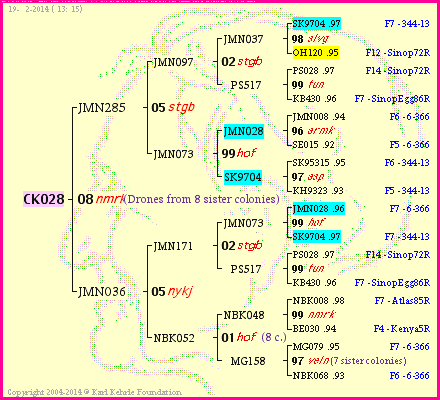 Pedigree of CK028 :
four generations presented