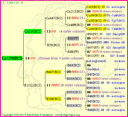 Pedigree of Ca129(BCI) :
four generations presented