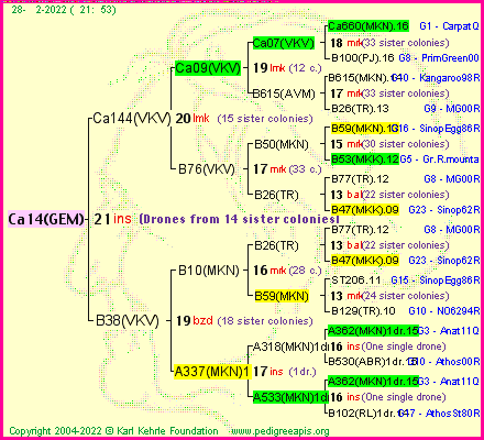 Pedigree of Ca14(GEM) :
four generations presented
it's temporarily unavailable, sorry!