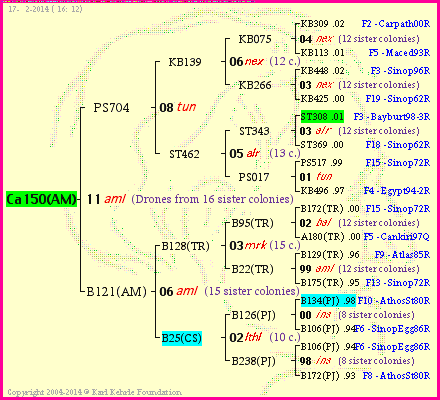 Pedigree of Ca150(AM) :
four generations presented<br />it's temporarily unavailable, sorry!