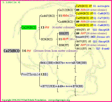 Pedigree of Ca25(BCI) :
four generations presented