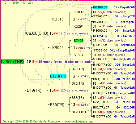 Pedigree of Ca301(CHB) :
four generations presented
it's temporarily unavailable, sorry!