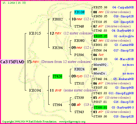 Pedigree of Ca315(FLM) :
four generations presented