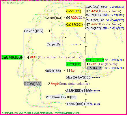 Pedigree of Ca840(JBB) :
four generations presented