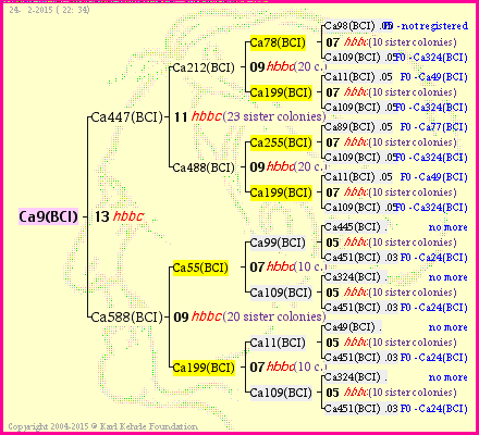 Pedigree of Ca9(BCI) :
four generations presented