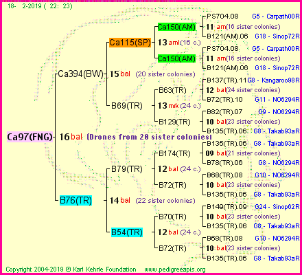 Pedigree of Ca97(FNG) :
four generations presented<br />it's temporarily unavailable, sorry!