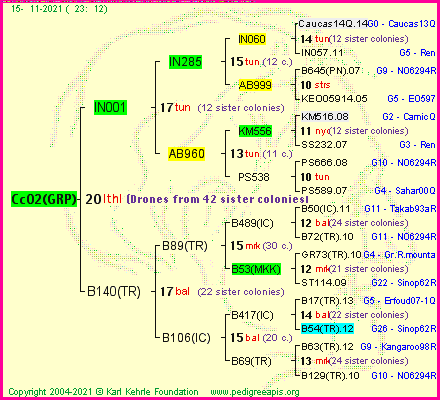 Pedigree of Cc02(GRP) :
four generations presented
it's temporarily unavailable, sorry!