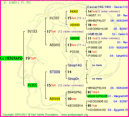 Pedigree of Cc193(AMS) :
four generations presented
it's temporarily unavailable, sorry!