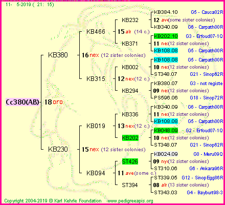 Pedigree of Cc380(AB) :
four generations presented<br />it's temporarily unavailable, sorry!