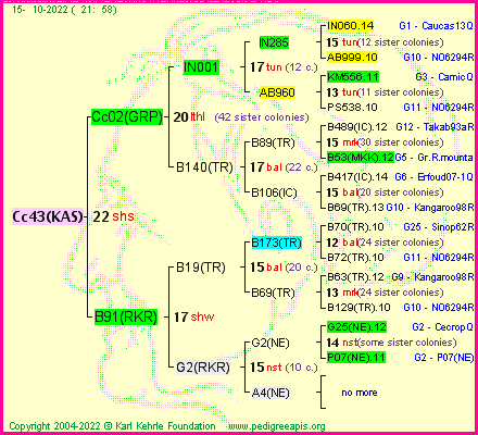 Pedigree of Cc43(KAS) :
four generations presented
it's temporarily unavailable, sorry!