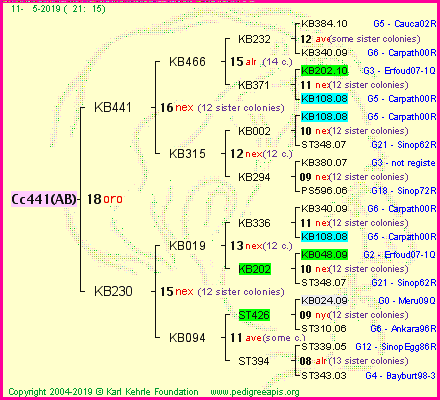 Pedigree of Cc441(AB) :
four generations presented<br />it's temporarily unavailable, sorry!