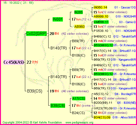 Pedigree of Cc45(KAS) :
four generations presented
it's temporarily unavailable, sorry!