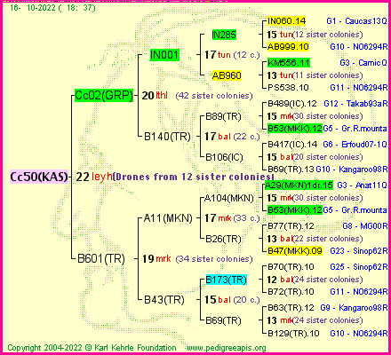 Pedigree of Cc50(KAS) :
four generations presented
it's temporarily unavailable, sorry!