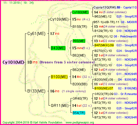 Pedigree of Cy101(ME) :
four generations presented
it's temporarily unavailable, sorry!