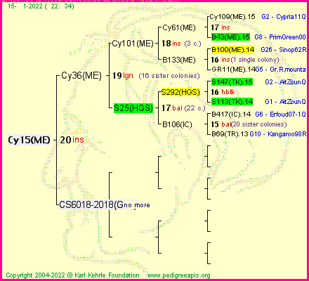 Pedigree of Cy15(ME) :
four generations presented
it's temporarily unavailable, sorry!