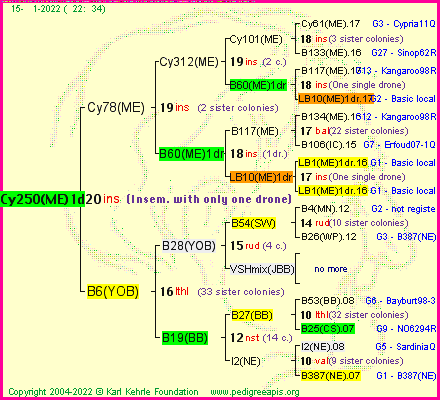 Pedigree of Cy250(ME)1dr :
four generations presented
it's temporarily unavailable, sorry!