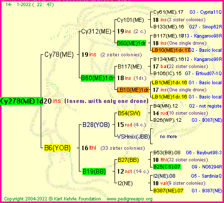 Pedigree of Cy278(ME)1dr :
four generations presented
it's temporarily unavailable, sorry!